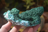 Natural Malachite With Chrysocolla Stalactite Formation Specimens  x 2 From Congo