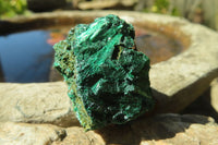 Natural Chatoyant Silky Malachite Specimens  x 12 From Kasompe, Congo