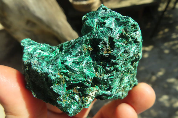 Natural Chatoyant Silky Malachite Specimens  x 12 From Kasompe, Congo