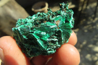 Natural Chatoyant Silky Malachite Specimens  x 12 From Kasompe, Congo