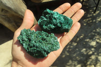 Natural Chatoyant Silky Malachite Specimens  x 12 From Kasompe, Congo