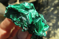 Natural Chatoyant Silky Malachite Specimens  x 12 From Kasompe, Congo