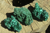 Natural Chatoyant Silky Malachite Specimens  x 12 From Kasompe, Congo