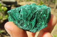 Natural Chatoyant Silky Malachite Specimens  x 12 From Kasompe, Congo