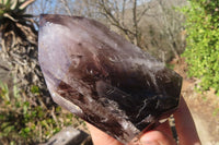 Polished Smokey Window Quartz Points x 2 From Ankazobe, Madagascar