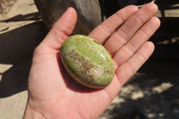 Polished Green Opal Gallets  x 16 From Antsirabe, Madagascar