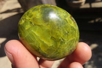 Polished Green Opal Gallets  x 16 From Antsirabe, Madagascar