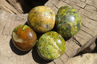 Polished Green Opal Gallets  x 16 From Antsirabe, Madagascar