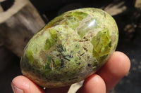 Polished Green Opal Gallets  x 16 From Antsirabe, Madagascar