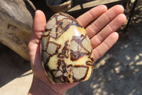 Polished Septaria Standing Free Forms x 2 From Mahajanga, Madagascar