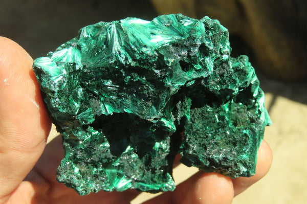 Natural Chatoyant Silky Malachite Specimens  x 6 From Kasompe, Congo