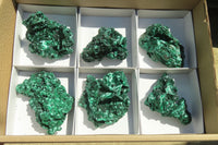 Natural Chatoyant Silky Malachite Specimens  x 6 From Kasompe, Congo