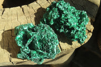 Natural Chatoyant Silky Malachite Specimens  x 6 From Kasompe, Congo