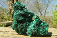 Natural Chatoyant Silky Malachite Specimens  x 6 From Kasompe, Congo