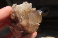 Natural Smokey Phantom Quartz Clusters x 6 From Luena, Congo