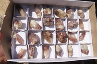 Natural Red Hematoid Quartz Specimens x 24 From Karoi, Zimbabwe