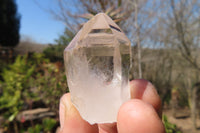 Natural Clear Quartz Crystals  x 35 From Madagascar