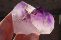 Polished Window Amethyst Crystals x 6 From Ankazobe, Madagascar