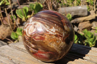 Polished Petrified Red Podocarpus Wood Spheres x 2 From Mahajanga, Madagascar