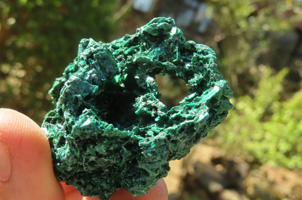 Natural Chatoyant Silky Malachite Specimens  x 12 From Kasompe, Congo