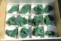 Natural Chatoyant Silky Malachite Specimens  x 12 From Kasompe, Congo