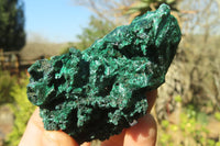 Natural Chatoyant Silky Malachite Specimens  x 12 From Kasompe, Congo