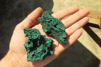 Natural Chatoyant Silky Malachite Specimens  x 12 From Kasompe, Congo