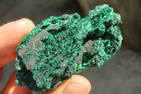 Natural Chatoyant Silky Malachite Specimens  x 12 From Kasompe, Congo