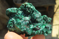 Natural Chatoyant Silky Malachite Specimens  x 12 From Kasompe, Congo