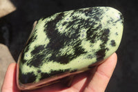 Polished Leopard Stone Free Forms  x 3 From Inyanga, Zimbabwe