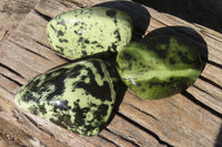 Polished Leopard Stone Free Forms  x 3 From Inyanga, Zimbabwe