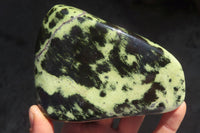 Polished Leopard Stone Free Forms  x 3 From Inyanga, Zimbabwe