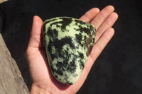 Polished Leopard Stone Free Forms  x 3 From Inyanga, Zimbabwe