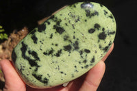 Polished Leopard Stone Free Forms  x 3 From Inyanga, Zimbabwe