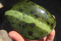 Polished Leopard Stone Free Forms  x 3 From Inyanga, Zimbabwe