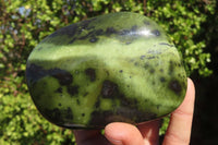 Polished Leopard Stone Free Forms  x 3 From Inyanga, Zimbabwe