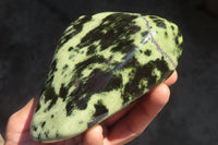 Polished Leopard Stone Free Forms  x 3 From Inyanga, Zimbabwe