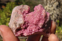 Natural Pink Salrose Cobaltion Dolomite Specimens  x 12 From Kakanda, Congo