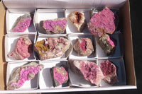 Natural Pink Salrose Cobaltion Dolomite Specimens  x 12 From Kakanda, Congo