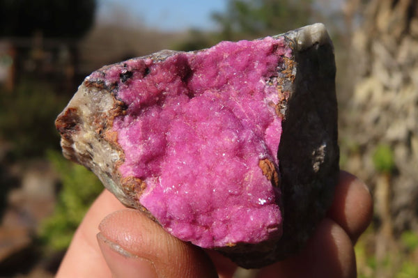 Natural Pink Salrose Cobaltion Dolomite Specimens  x 12 From Kakanda, Congo