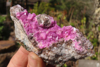 Natural Pink Salrose Cobaltion Dolomite Specimens  x 12 From Kakanda, Congo