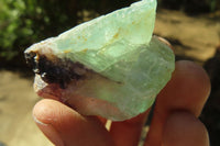 Natural Rough Watermelon Fluorite Cobbed Specimens  x 35 From Namibia