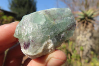 Natural Rough Watermelon Fluorite Cobbed Specimens  x 35 From Namibia