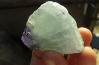 Natural Rough Watermelon Fluorite Cobbed Specimens  x 35 From Namibia