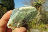 Natural Rough Watermelon Fluorite Cobbed Specimens  x 35 From Namibia