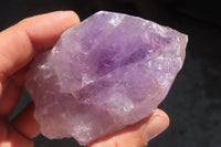 Natural Jacaranda Amethyst Crystals x 12 From Mumbwa, Zambia