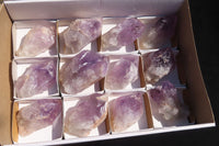 Natural Jacaranda Amethyst Crystals x 12 From Mumbwa, Zambia