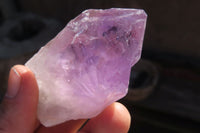 Natural Jacaranda Amethyst Crystals x 12 From Mumbwa, Zambia