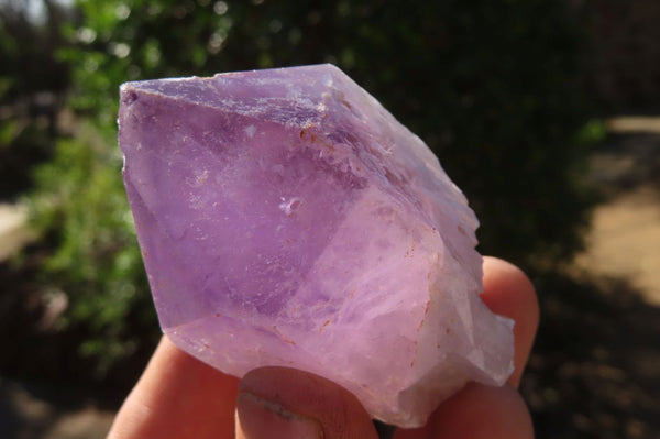 Natural Jacaranda Amethyst Crystals x 12 From Mumbwa, Zambia