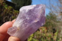 Natural Jacaranda Amethyst Crystals x 12 From Mumbwa, Zambia